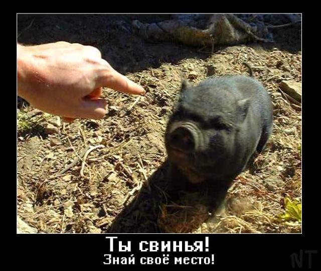 Ceriel.Ru