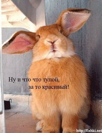 я ильЙа